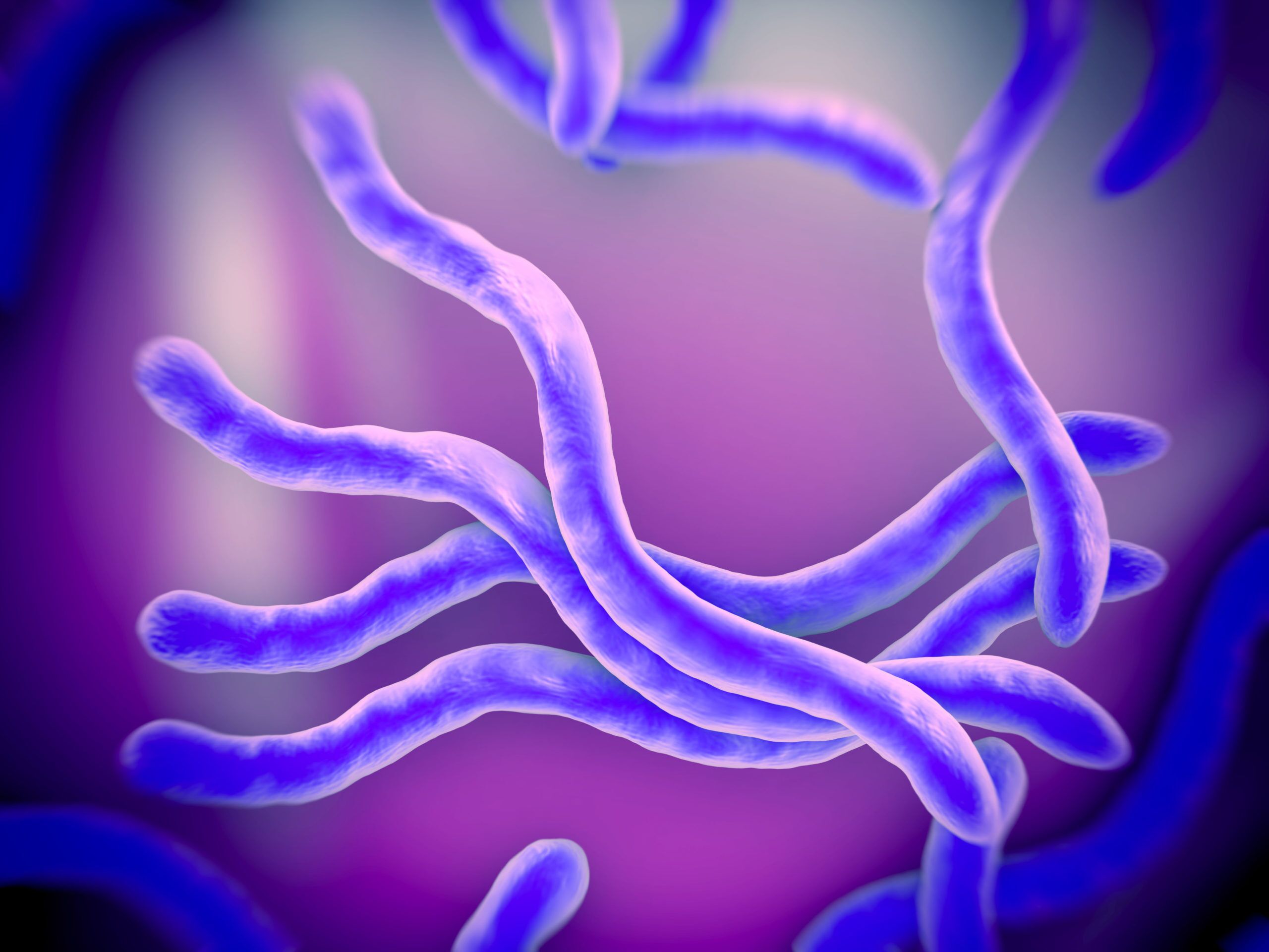 <em>Borrelia Burgdorferi (Lyme Disease)</em>