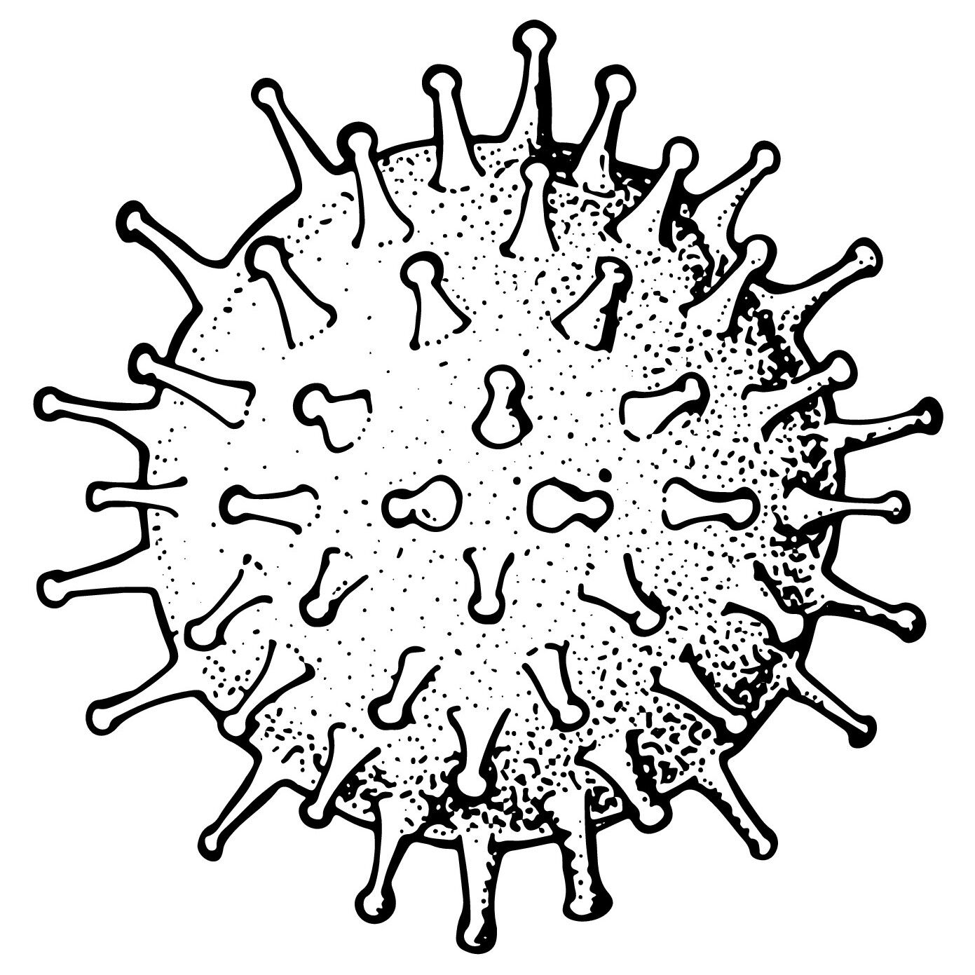el-16 virus
