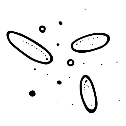 ONBOARDx™FLOQ® Enteric Bacterial Panel 1 Swab Kit (RUO)