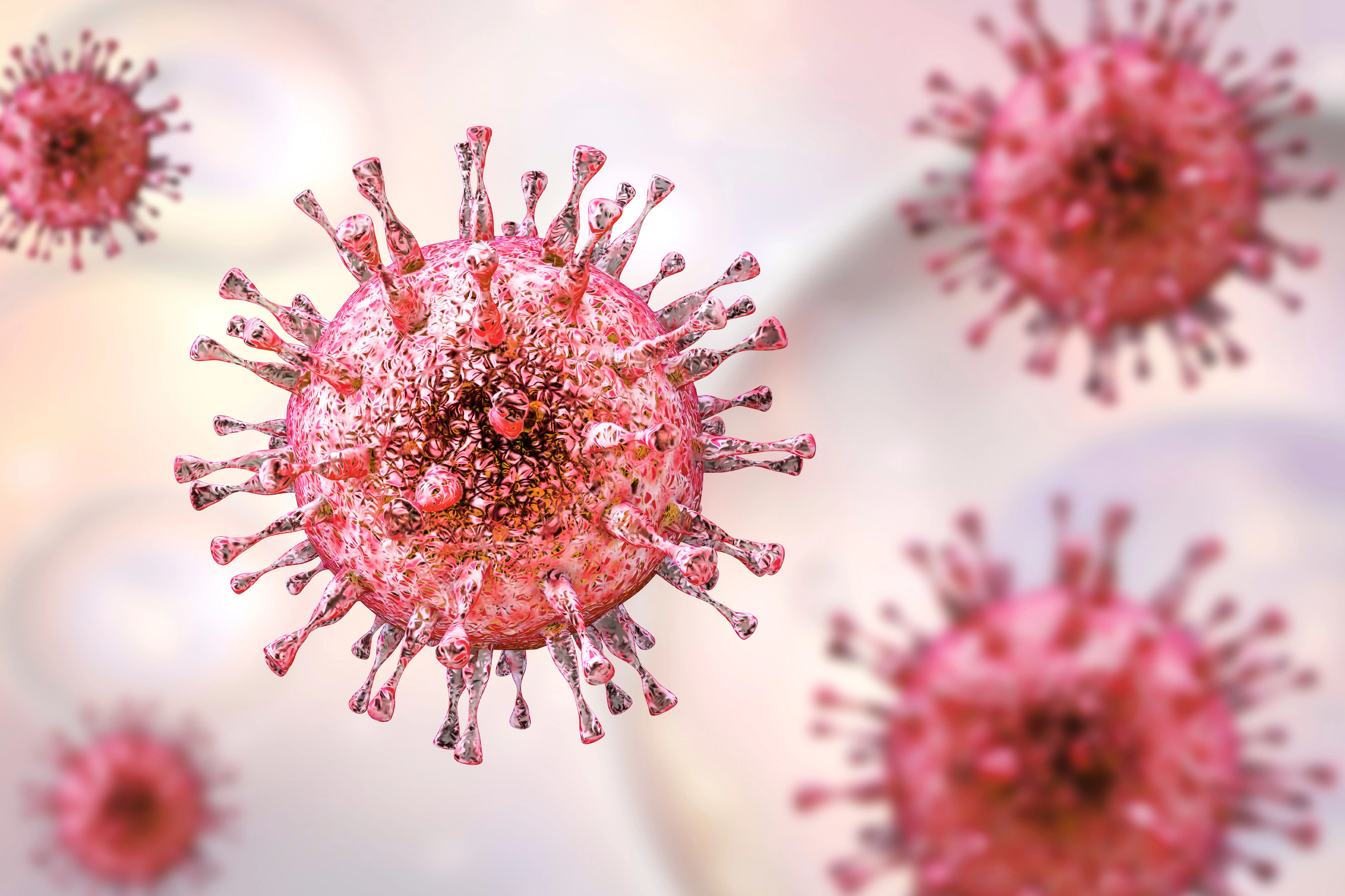 Cytomegalovirus, Grade 2