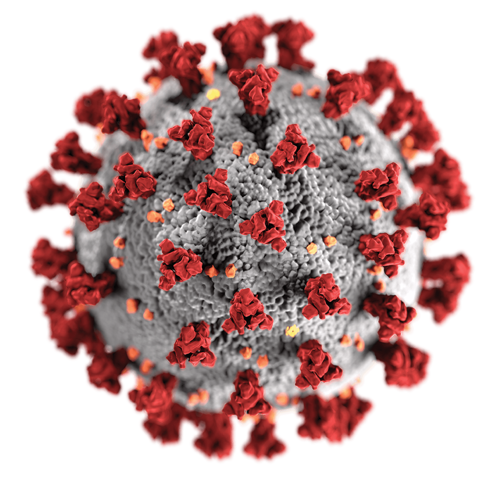 Respiratory Viral Panel 1 Positive Swab