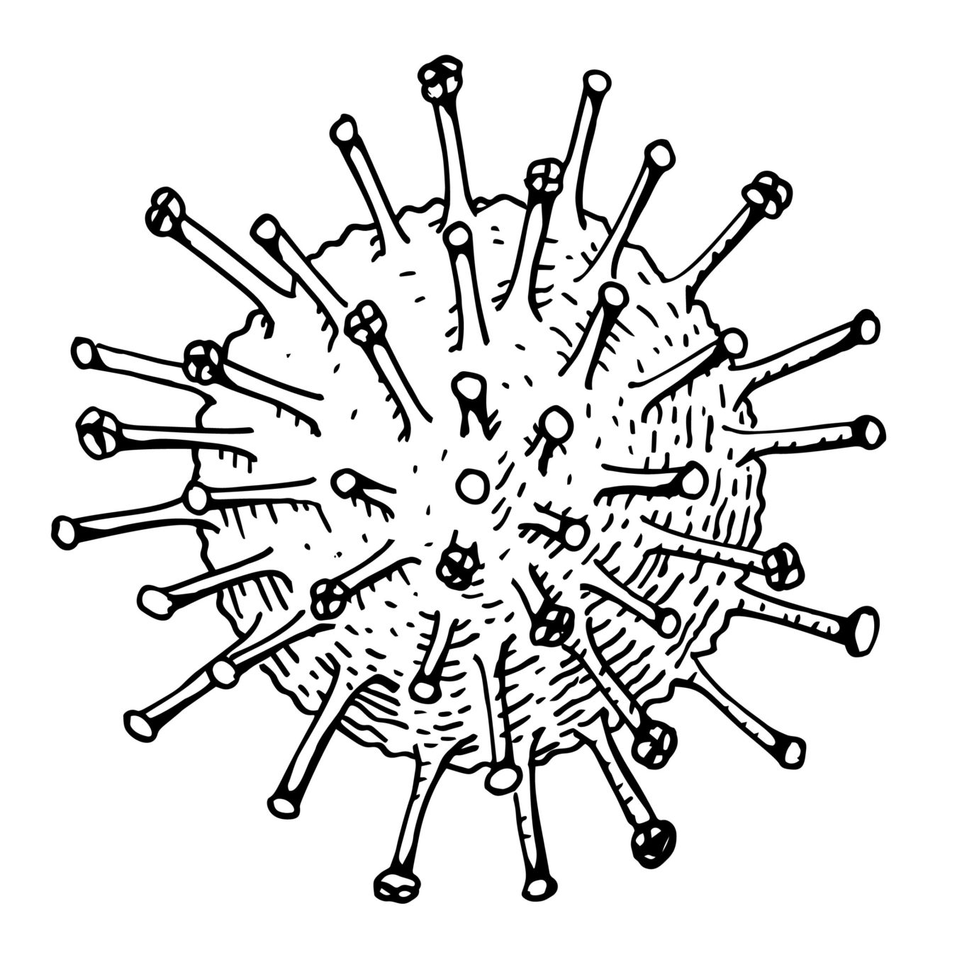 Influenza B Antigen - Microbix Biosystems Inc.