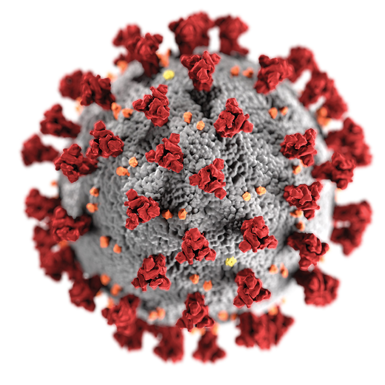 Influenza B Positive Swab REDS1401 Microbix Biosystems Inc.