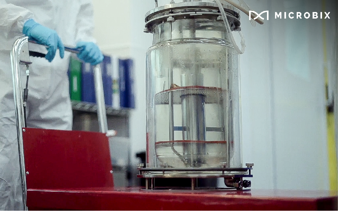 Microbix Advances Test-Ingredient Manufacturing Capabilities