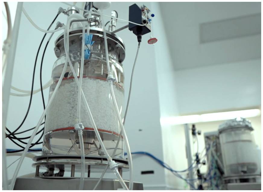 500% increase in bioreactor capacity